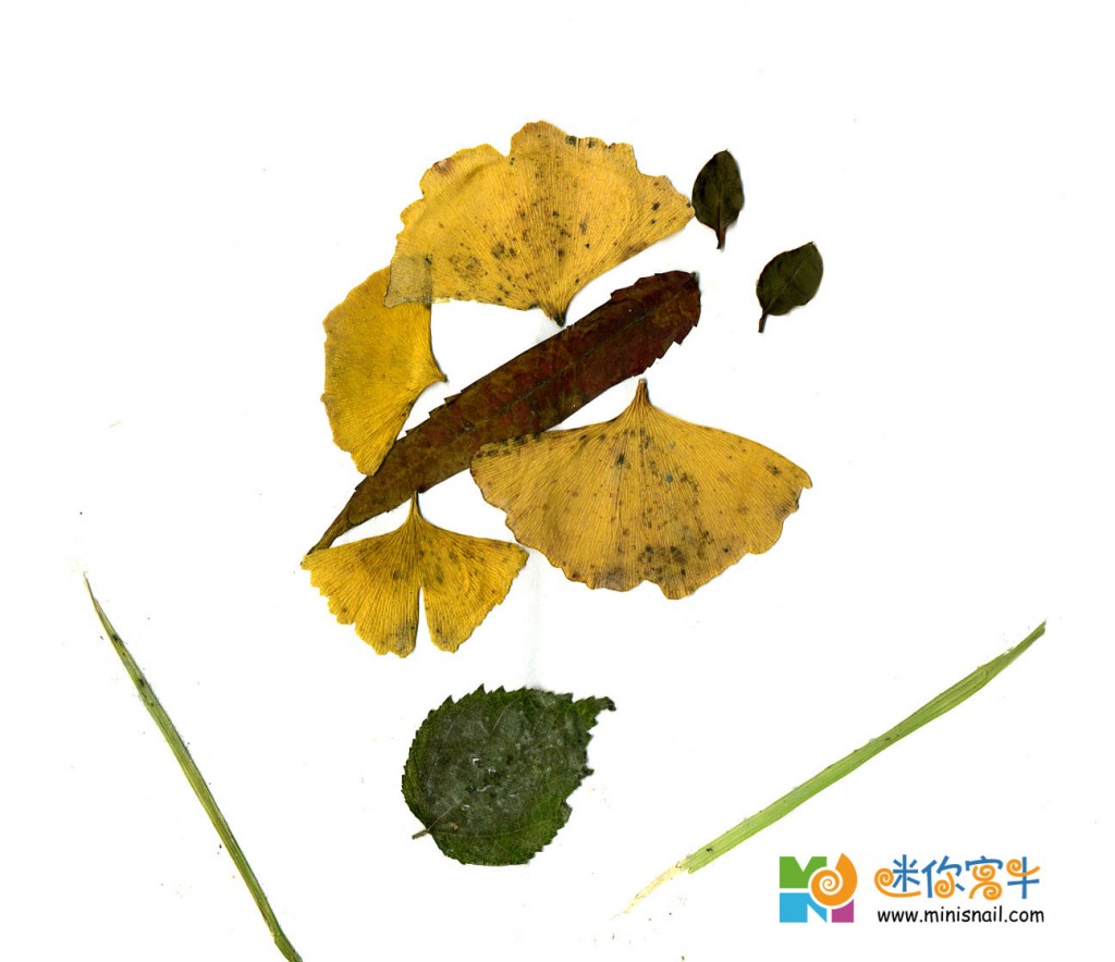 萌萌的树叶画/蝴蝶